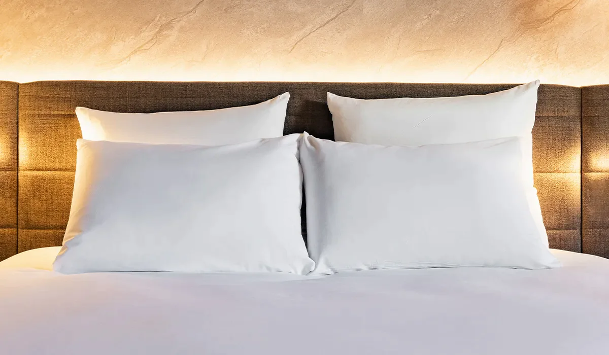 Oreiller plumes et duvet Novotel 2