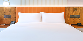 Natural pillows & duvet set