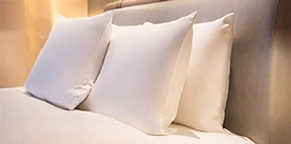 Novotel feather & down pillow